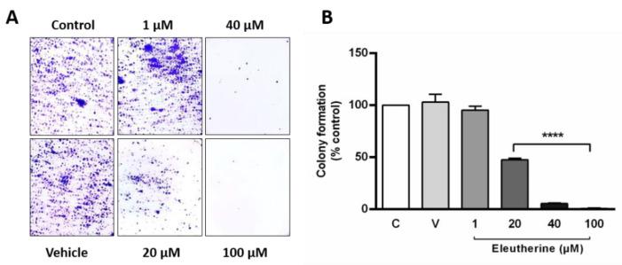 https://cdn.ncbi.nlm.nih.gov/pmc/blobs/b69c/9785660/39e1214bd55d/molecules-27-08850-g005.jpg