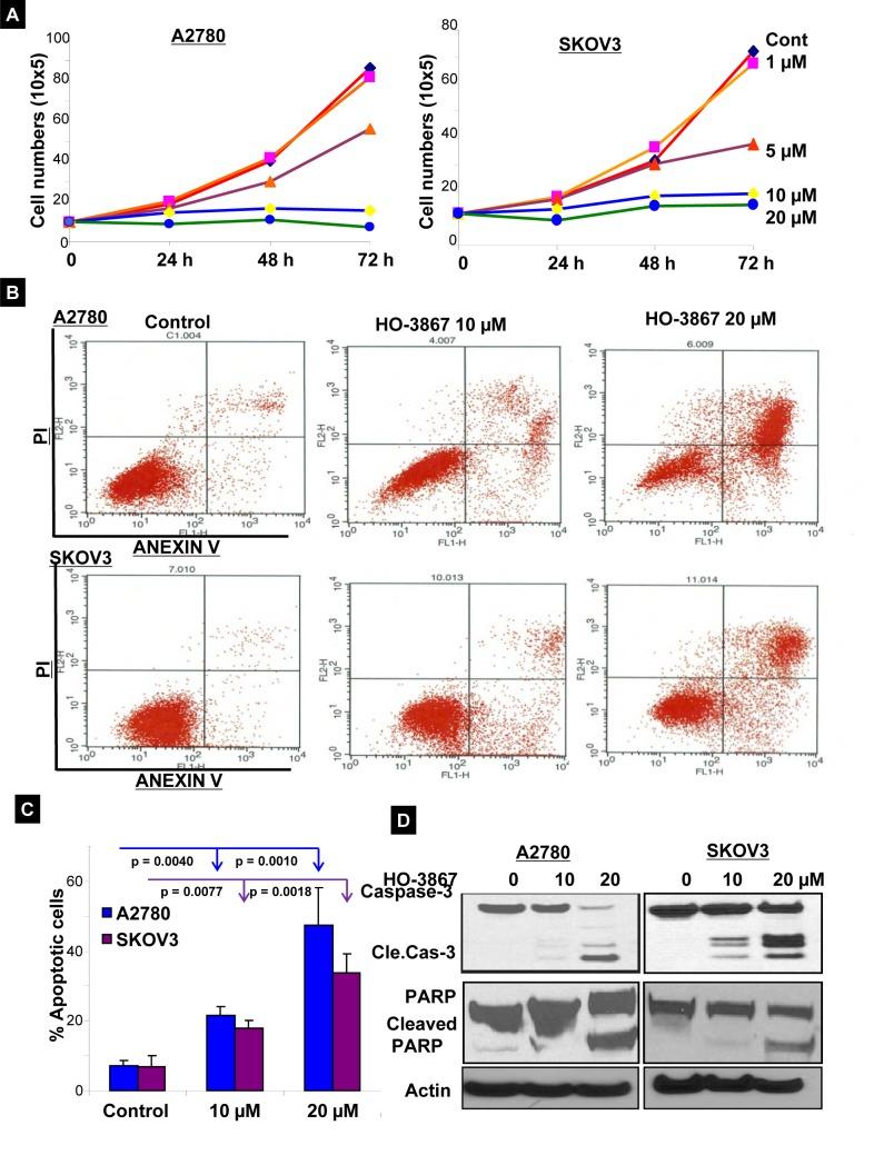 https://cdn.ncbi.nlm.nih.gov/pmc/blobs/b69f/4278289/273efdb88ac3/oncoscience-01-0216-g007.jpg