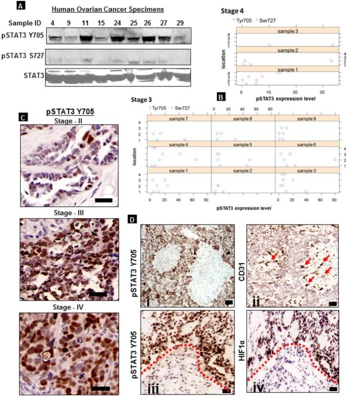 https://cdn.ncbi.nlm.nih.gov/pmc/blobs/b69f/4278289/a8d6f61a37e6/oncoscience-01-0216-g002.jpg