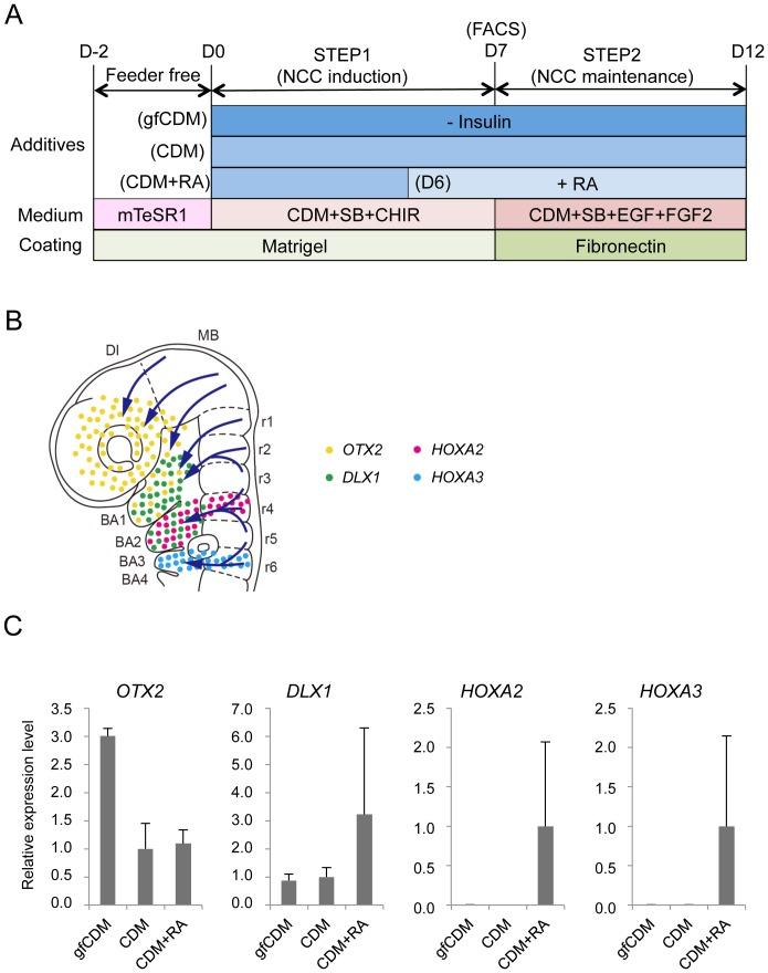https://cdn.ncbi.nlm.nih.gov/pmc/blobs/b6a0/4251837/11290ab845a1/pone.0112291.g004.jpg