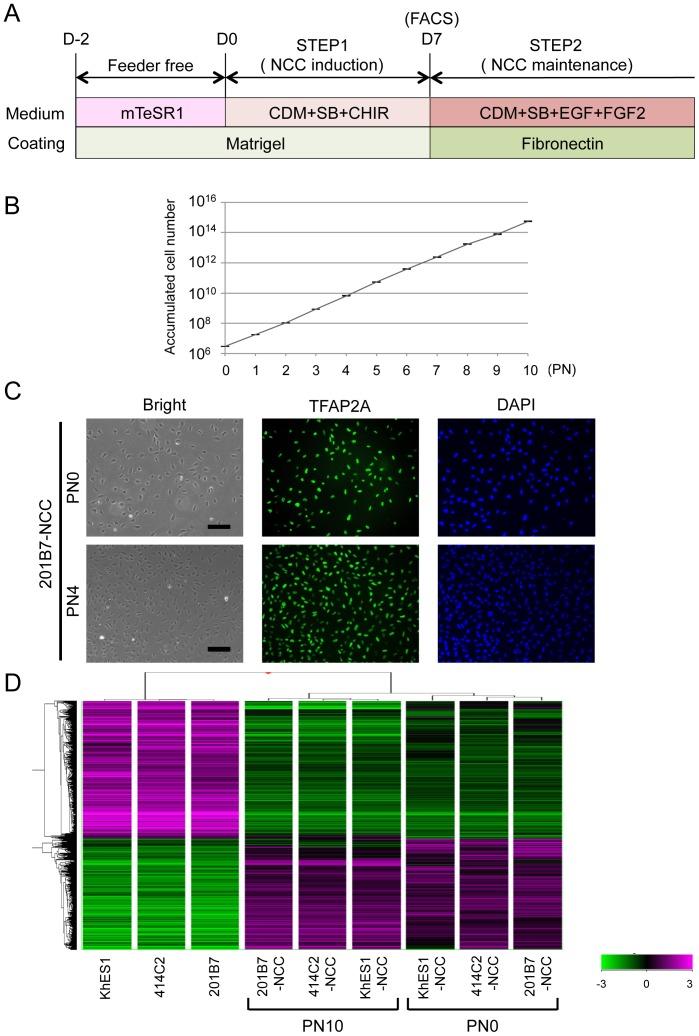 https://cdn.ncbi.nlm.nih.gov/pmc/blobs/b6a0/4251837/35a3e5b22896/pone.0112291.g003.jpg