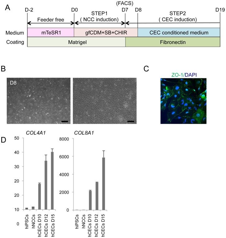 https://cdn.ncbi.nlm.nih.gov/pmc/blobs/b6a0/4251837/eaa0922db3a6/pone.0112291.g006.jpg