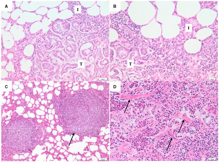 https://cdn.ncbi.nlm.nih.gov/pmc/blobs/b6a1/11402891/533a4c29599d/fvets-11-1457971-g0003.jpg