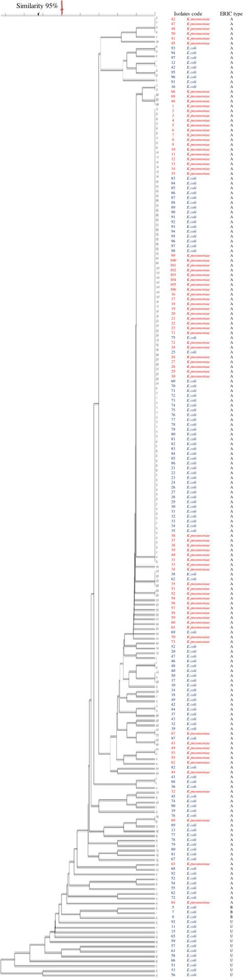 https://cdn.ncbi.nlm.nih.gov/pmc/blobs/b6a2/11218496/5d18789dbe8c/spectrum.00213-24.f002.jpg