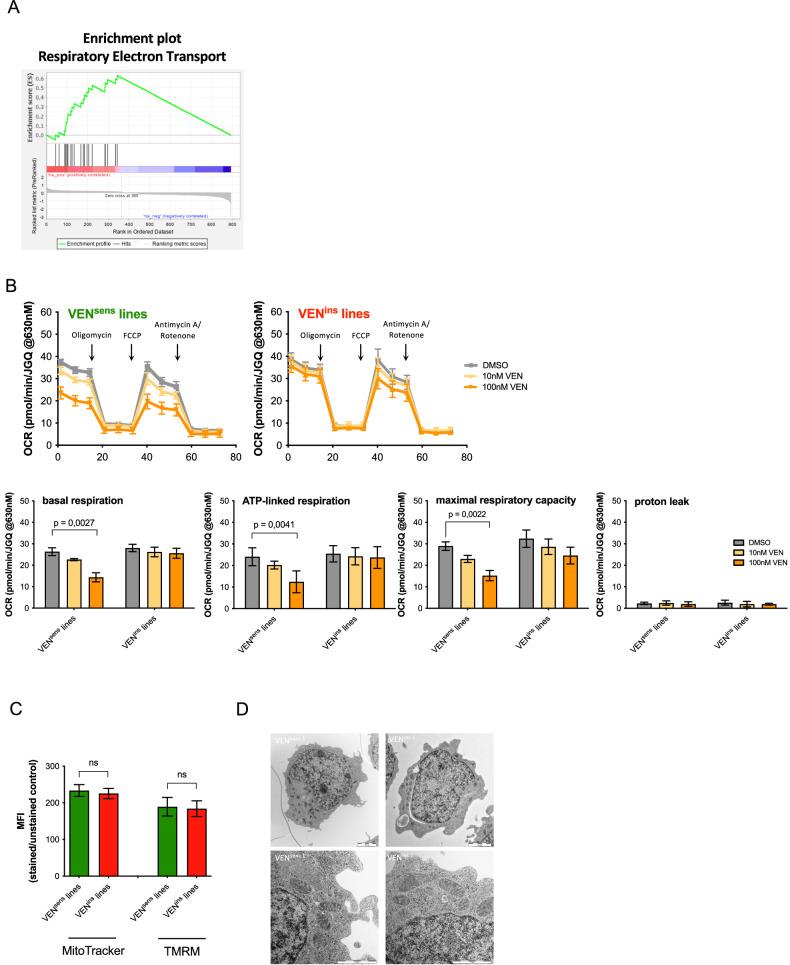 https://cdn.ncbi.nlm.nih.gov/pmc/blobs/b6a2/11222427/8adaaf61363d/41419_2024_6864_Fig3_HTML.jpg