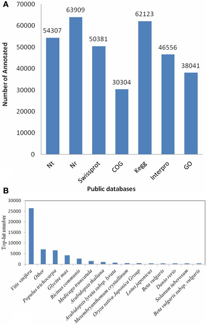 https://cdn.ncbi.nlm.nih.gov/pmc/blobs/b6a2/4700300/16a9b63a4500/fpls-06-01179-g0002.jpg