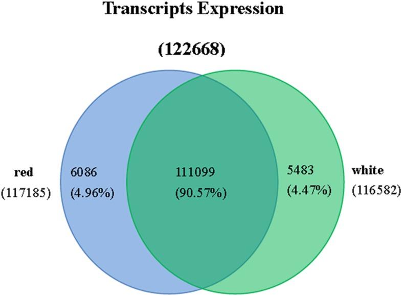 https://cdn.ncbi.nlm.nih.gov/pmc/blobs/b6a2/4700300/c1698cef402f/fpls-06-01179-g0003.jpg