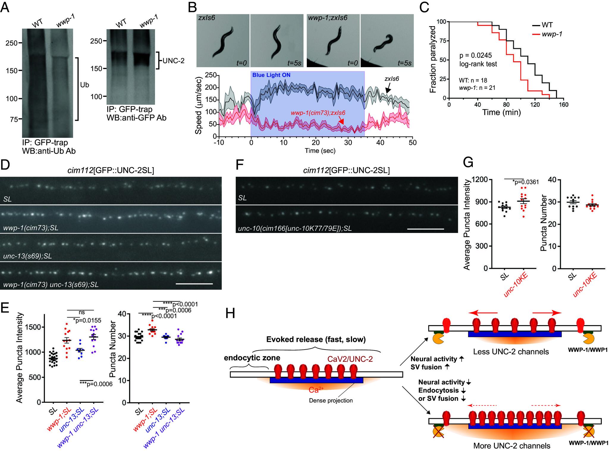 https://cdn.ncbi.nlm.nih.gov/pmc/blobs/b6a5/11363341/5fe5768137a1/pnas.2404969121fig07.jpg