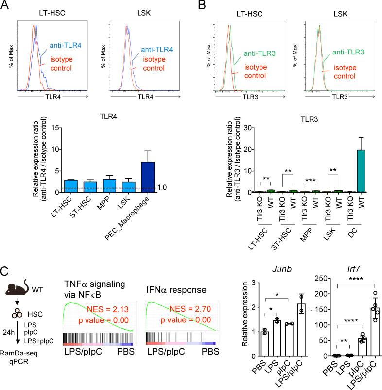 https://cdn.ncbi.nlm.nih.gov/pmc/blobs/b6a6/10120406/68f125bcf9aa/JEM_20220962_FigS1.jpg