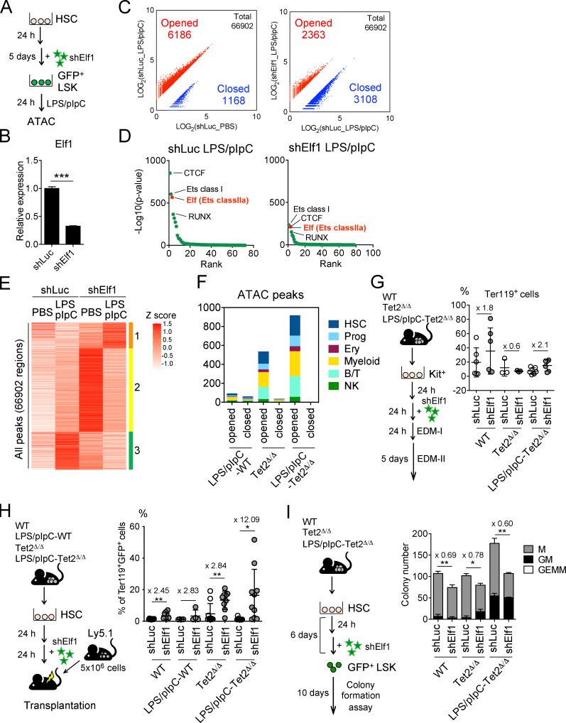 https://cdn.ncbi.nlm.nih.gov/pmc/blobs/b6a6/10120406/a472a56f78e3/JEM_20220962_Fig9.jpg