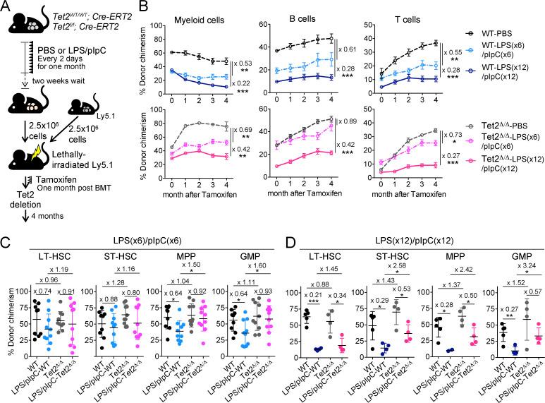 https://cdn.ncbi.nlm.nih.gov/pmc/blobs/b6a6/10120406/cf11804451e8/JEM_20220962_Fig2.jpg