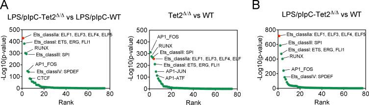 https://cdn.ncbi.nlm.nih.gov/pmc/blobs/b6a6/10120406/fb9c0f302c9b/JEM_20220962_FigS5.jpg