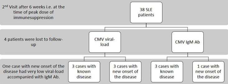 https://cdn.ncbi.nlm.nih.gov/pmc/blobs/b6a6/7648478/23b56380728d/PAMJ-37-38-g002.jpg