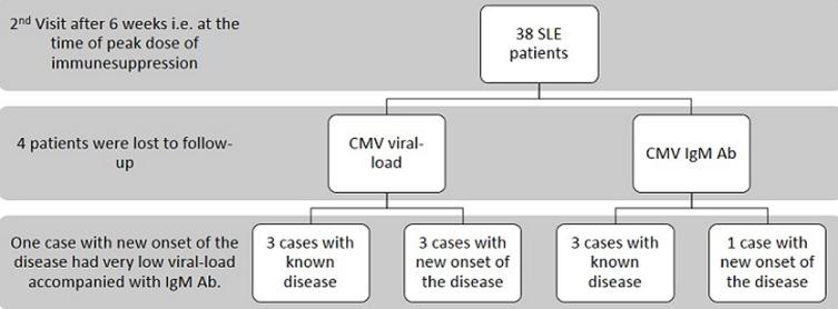 https://cdn.ncbi.nlm.nih.gov/pmc/blobs/b6a6/7648478/db3e6f304310/PAMJ-37-38-g001.jpg