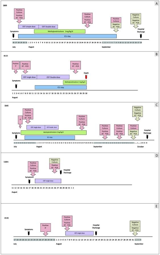 https://cdn.ncbi.nlm.nih.gov/pmc/blobs/b6a7/2994772/b9bf93252ef9/pone.0014158.g002.jpg