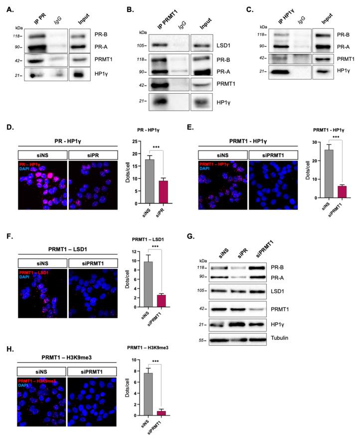 https://cdn.ncbi.nlm.nih.gov/pmc/blobs/b6a7/9455263/c1d9346fe1fb/ijms-23-09509-g001.jpg