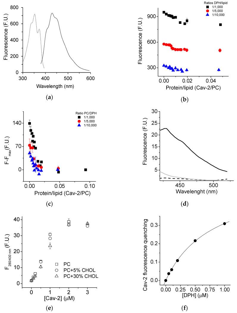 https://cdn.ncbi.nlm.nih.gov/pmc/blobs/b6a9/9736327/41e1c6820570/ijms-23-15203-g004.jpg