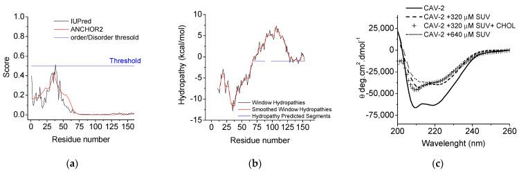 https://cdn.ncbi.nlm.nih.gov/pmc/blobs/b6a9/9736327/884bf731319e/ijms-23-15203-g002.jpg