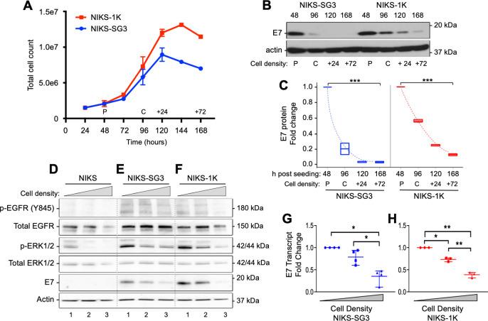 https://cdn.ncbi.nlm.nih.gov/pmc/blobs/b6ac/7857559/16a5b5990146/ppat.1009216.g003.jpg