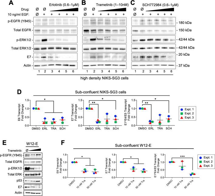https://cdn.ncbi.nlm.nih.gov/pmc/blobs/b6ac/7857559/7d199884d041/ppat.1009216.g005.jpg