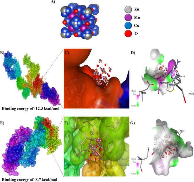 https://cdn.ncbi.nlm.nih.gov/pmc/blobs/b6ae/12062449/154e260077c0/41598_2024_85044_Fig10_HTML.jpg