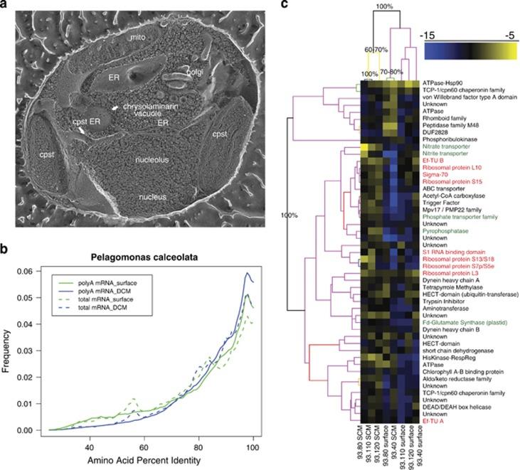 https://cdn.ncbi.nlm.nih.gov/pmc/blobs/b6ae/4410273/58529c109370/ismej2014198f4.jpg