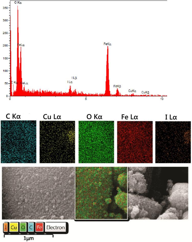 https://cdn.ncbi.nlm.nih.gov/pmc/blobs/b6ae/9675794/201bc6b2fd42/41598_2022_24089_Fig6_HTML.jpg