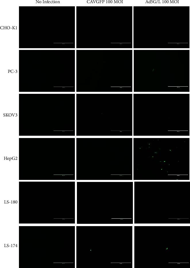 https://cdn.ncbi.nlm.nih.gov/pmc/blobs/b6b0/9800077/8acdb85069ac/AV2022-3658970.003.jpg