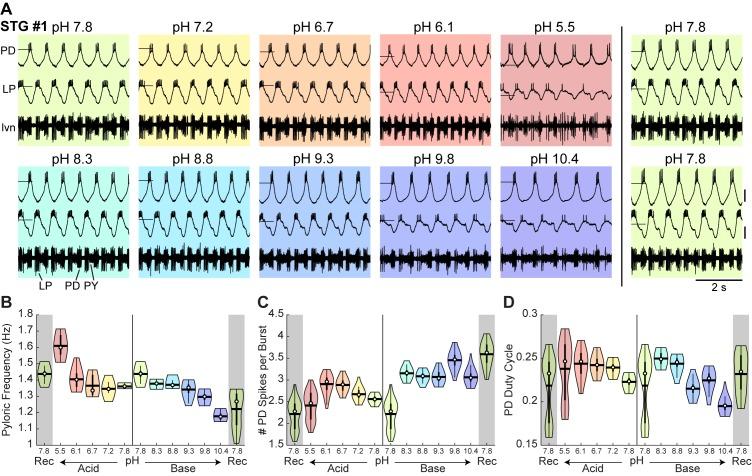 https://cdn.ncbi.nlm.nih.gov/pmc/blobs/b6b2/6328273/5dcb11b998f2/elife-41877-fig2.jpg