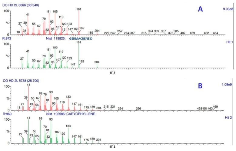 https://cdn.ncbi.nlm.nih.gov/pmc/blobs/b6b3/9101729/4364d58ed900/molecules-27-02975-g001.jpg