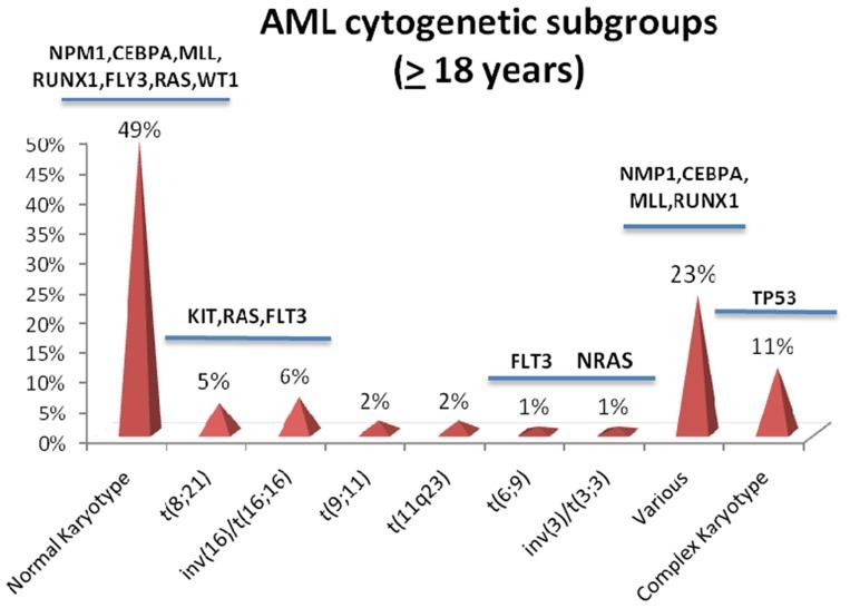https://cdn.ncbi.nlm.nih.gov/pmc/blobs/b6b6/7104087/2616be02e770/CMAR-12-2231-g0002.jpg