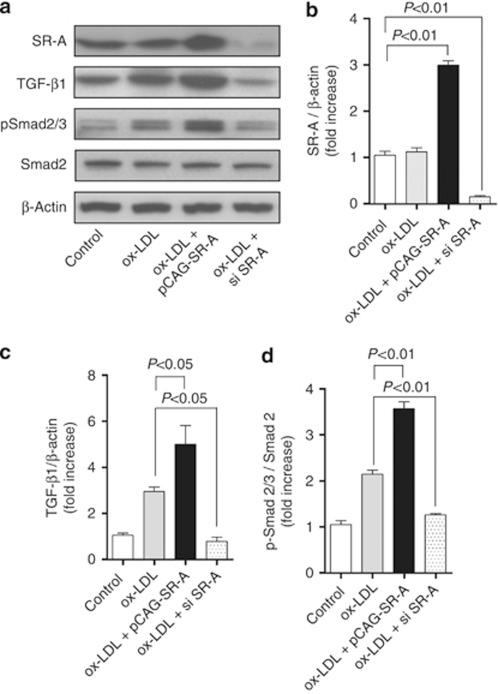 https://cdn.ncbi.nlm.nih.gov/pmc/blobs/b6b7/3343314/cc49474fd4af/ki2011457f7.jpg