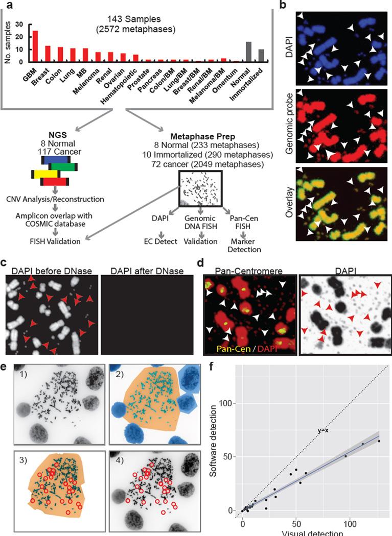 https://cdn.ncbi.nlm.nih.gov/pmc/blobs/b6b7/5334176/8f19410d085e/nihms839083f1.jpg