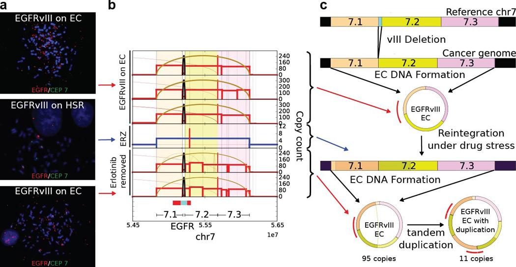 https://cdn.ncbi.nlm.nih.gov/pmc/blobs/b6b7/5334176/de4dd98176f3/nihms839083f13.jpg