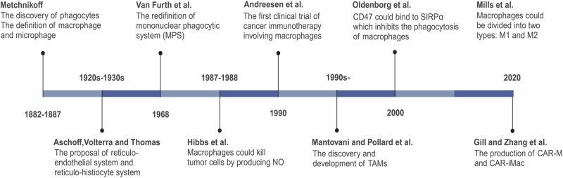 https://cdn.ncbi.nlm.nih.gov/pmc/blobs/b6b8/11889221/0ad63dea2a21/41392_2025_2124_Fig1_HTML.jpg