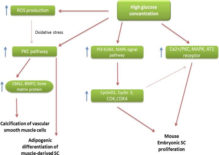 https://cdn.ncbi.nlm.nih.gov/pmc/blobs/b6b9/3913149/d725b4a94a9e/IJHOSCR-7-034-g001.jpg