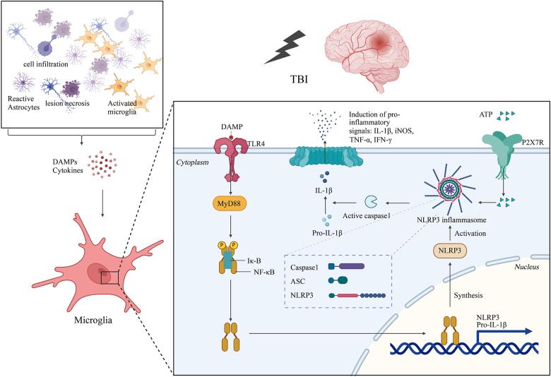 https://cdn.ncbi.nlm.nih.gov/pmc/blobs/b6bb/12165506/b6d413171f61/js9-111-3942-g003.jpg