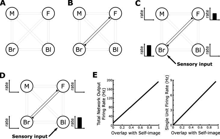 https://cdn.ncbi.nlm.nih.gov/pmc/blobs/b6bb/6346146/a300e11e84de/gr1.jpg