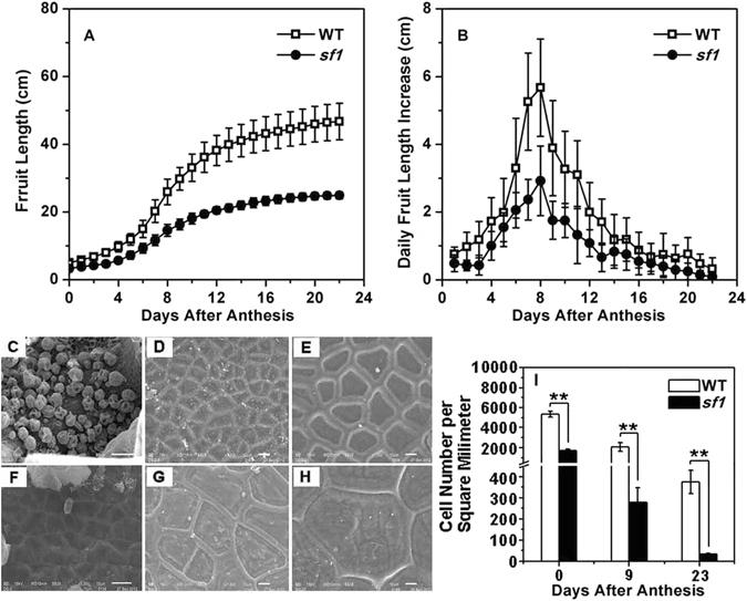https://cdn.ncbi.nlm.nih.gov/pmc/blobs/b6be/5462832/6234e91a1803/41598_2017_2932_Fig2_HTML.jpg