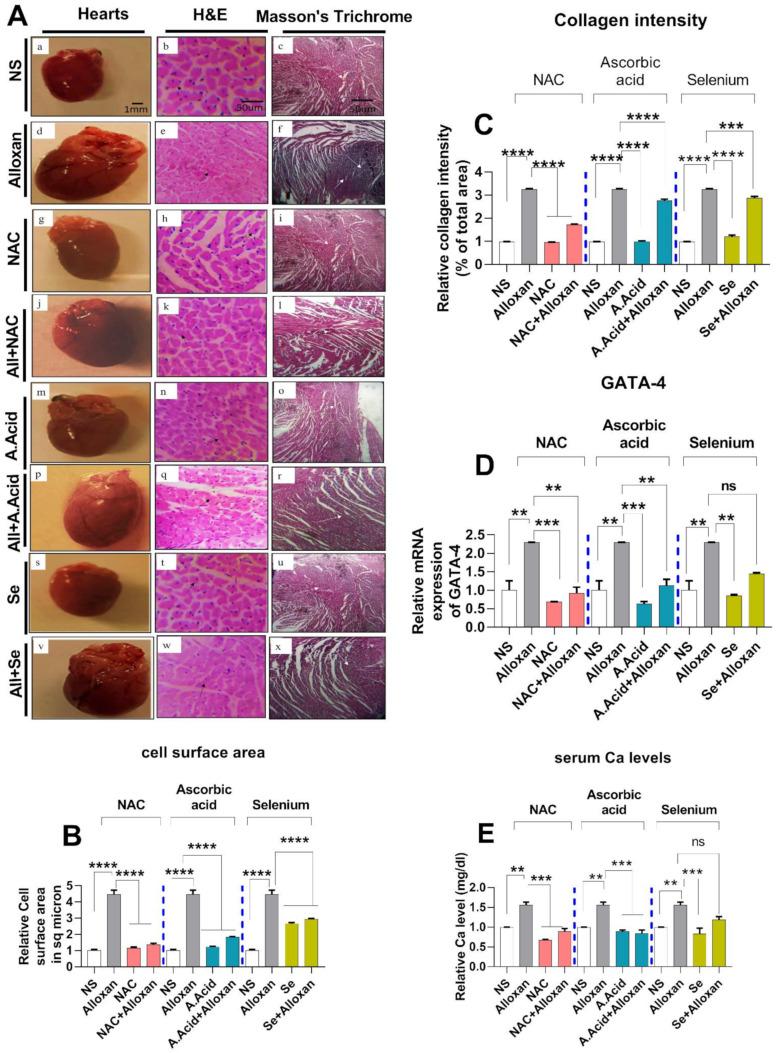 https://cdn.ncbi.nlm.nih.gov/pmc/blobs/b6c1/8659237/114b4aba734b/molecules-26-07285-g002.jpg