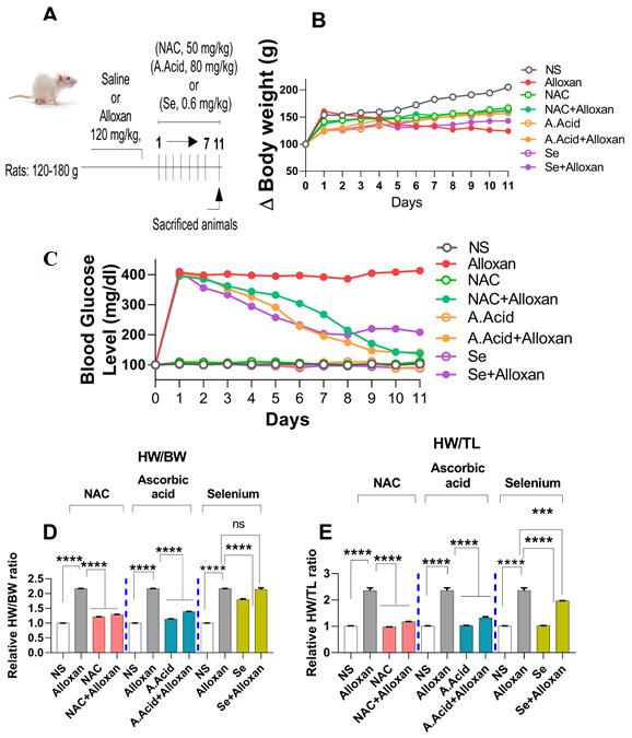 https://cdn.ncbi.nlm.nih.gov/pmc/blobs/b6c1/8659237/3dfc64de4229/molecules-26-07285-g001.jpg