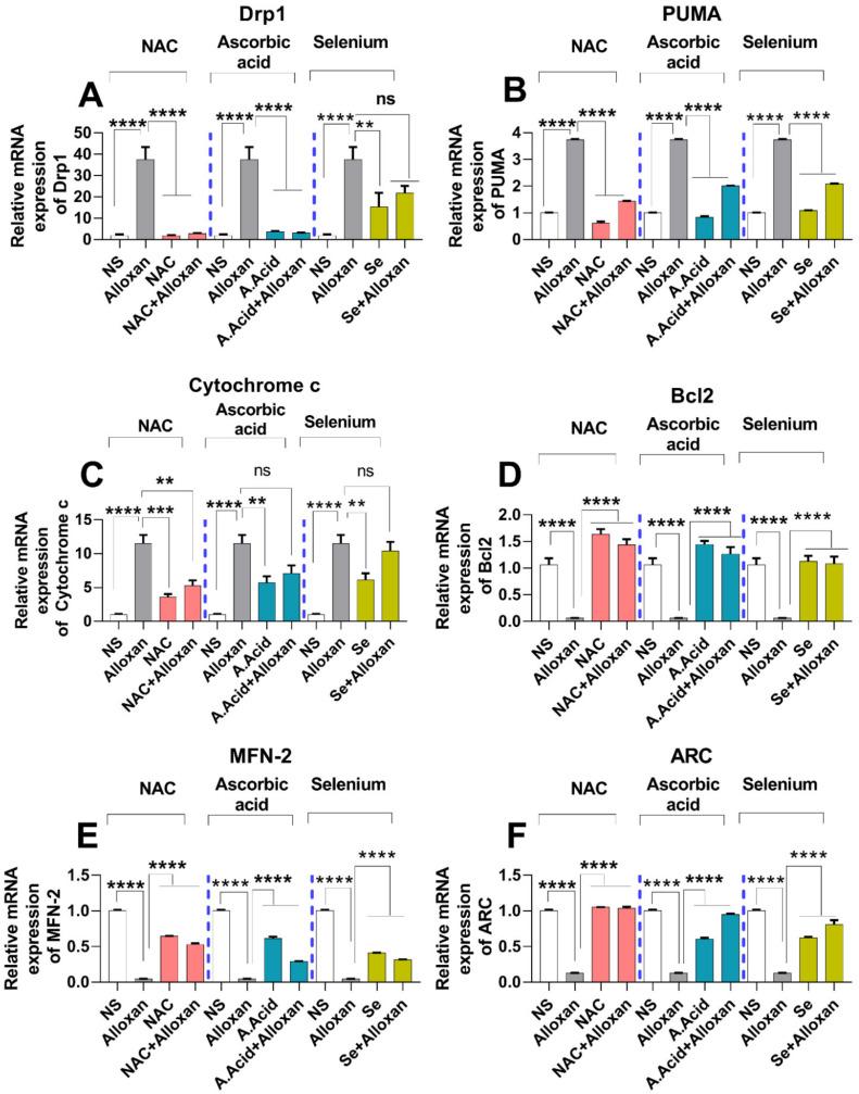 https://cdn.ncbi.nlm.nih.gov/pmc/blobs/b6c1/8659237/9ad9b7bd41ba/molecules-26-07285-g005.jpg