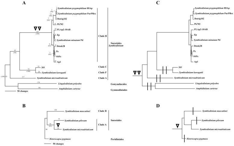 https://cdn.ncbi.nlm.nih.gov/pmc/blobs/b6c2/4201569/30f08c9077bc/pone.0110608.g004.jpg