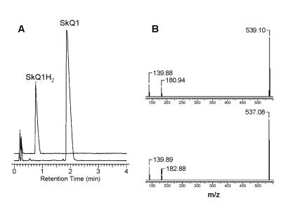 https://cdn.ncbi.nlm.nih.gov/pmc/blobs/b6c4/2830047/3e52a418a204/aging-01-481-g002.jpg