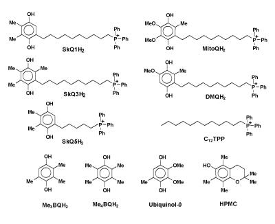 https://cdn.ncbi.nlm.nih.gov/pmc/blobs/b6c4/2830047/a5a5684d0d37/aging-01-481-g001.jpg