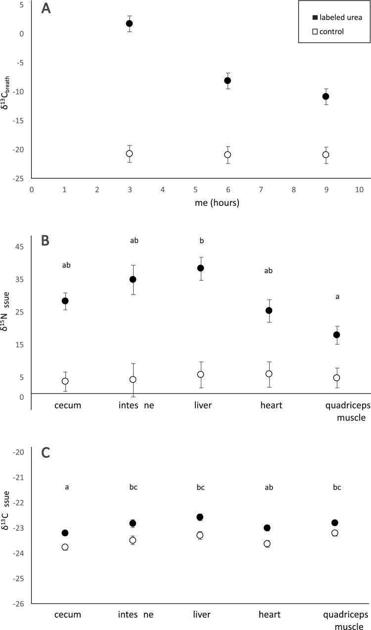 https://cdn.ncbi.nlm.nih.gov/pmc/blobs/b6c5/11511772/0e9a9cd15fa7/360_2024_1579_Fig6_HTML.jpg