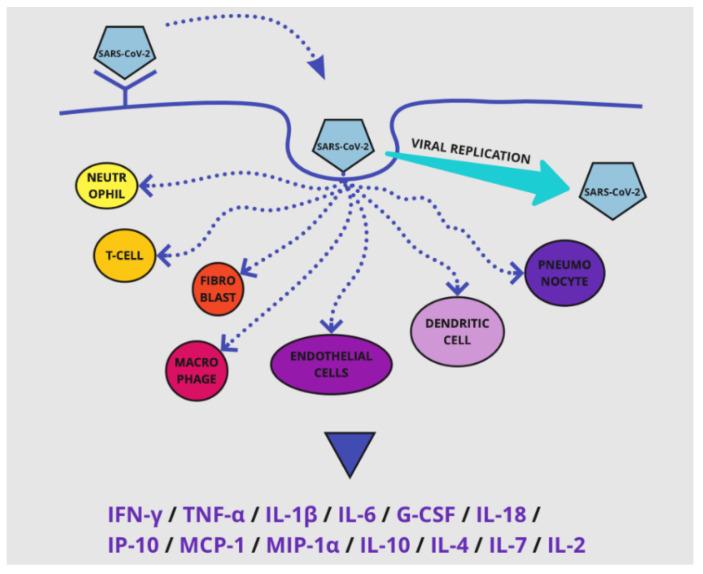 https://cdn.ncbi.nlm.nih.gov/pmc/blobs/b6c5/9604860/db4189da41b4/life-12-01658-g004.jpg