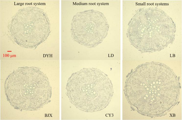 https://cdn.ncbi.nlm.nih.gov/pmc/blobs/b6c6/10519072/fad241016d99/12870_2023_4469_Fig4_HTML.jpg