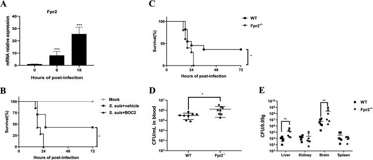 https://cdn.ncbi.nlm.nih.gov/pmc/blobs/b6c6/8097268/30c97754174f/IAI.00680-20-f0001.jpg