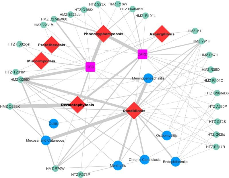 https://cdn.ncbi.nlm.nih.gov/pmc/blobs/b6c7/6195074/86cd0d0b22fa/fmicb-09-02434-g002.jpg